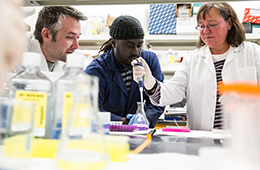 faculty and students in the bench research lab