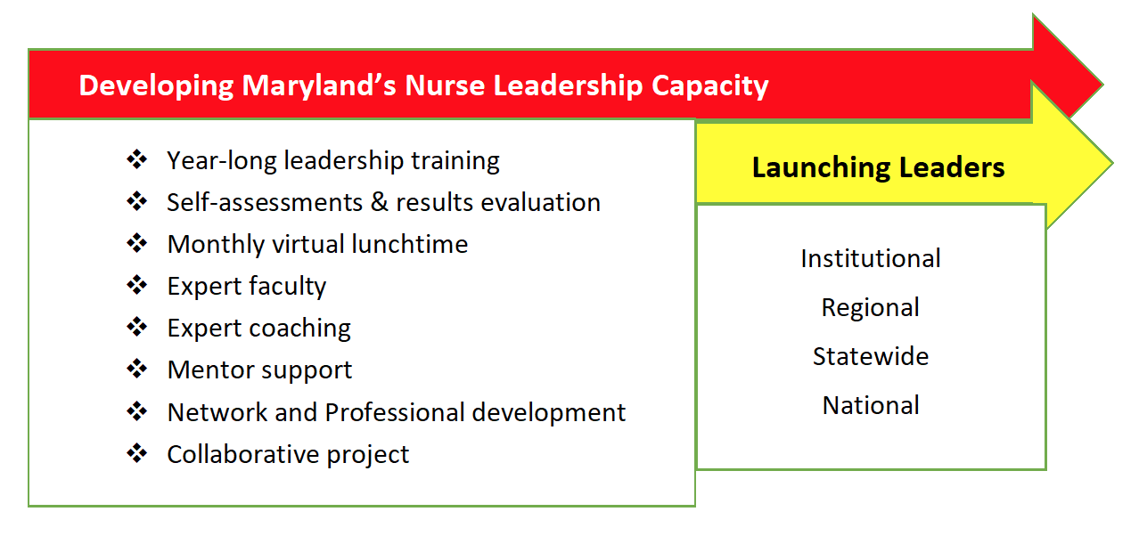 Developing Maryland Nurse Leadership Capacity and Launching Leaders