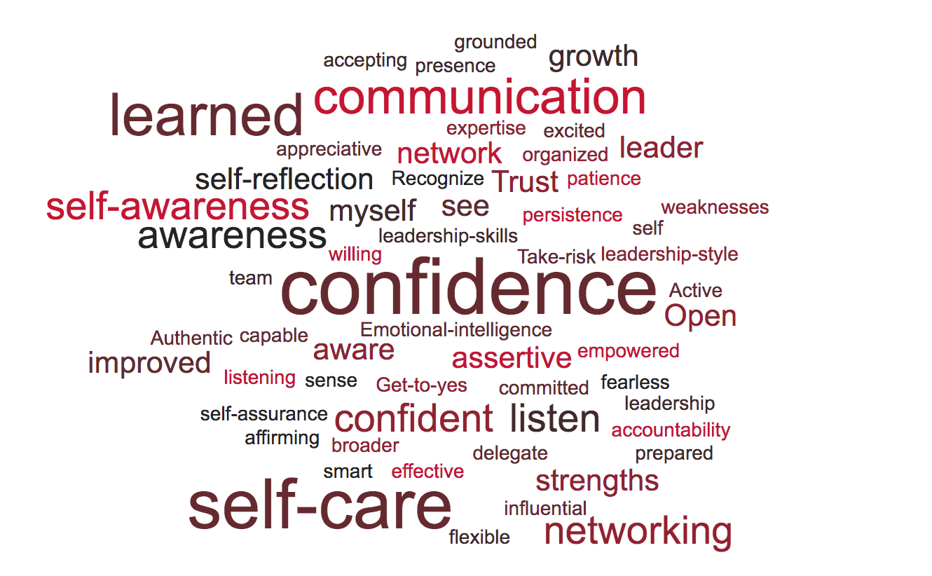 words that NLI fellows used to describe the program