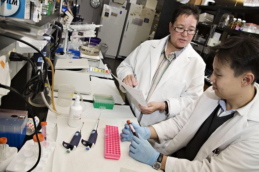 a faculty member discusses a research project with a nursing PhD student in the lab