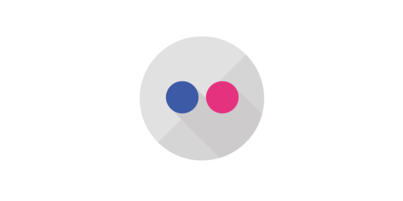 Flickr Icon