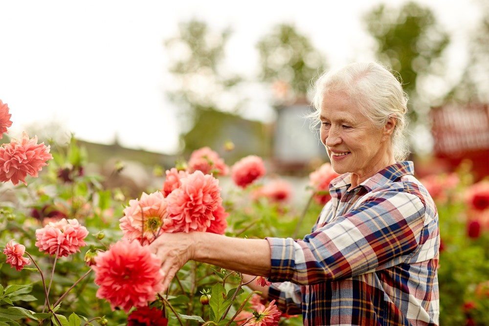 older person gardening, flowers