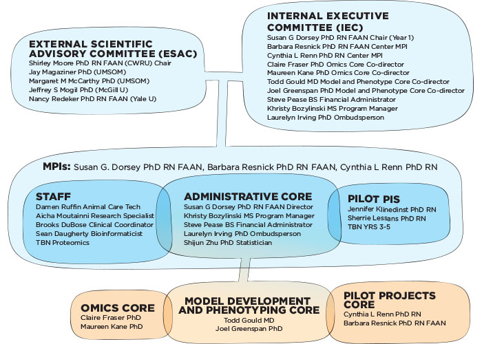 OASIS Committees and Cores Chart; visual representation of what is outlined below
